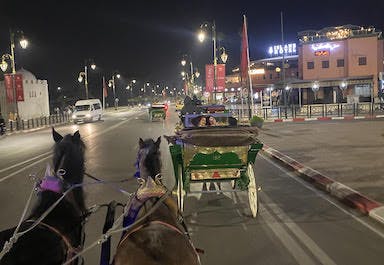 Marrakech Horse Carriage