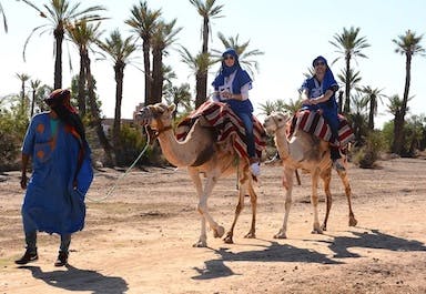 Camel rides - Palmeraie & Agafay